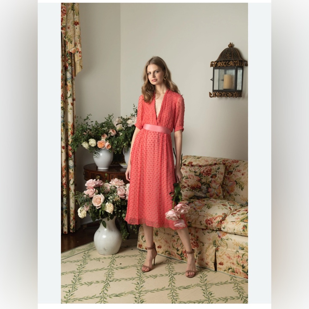 Black Iris Maxi Dress 100% Silk Pink Red $995 Ivy Crinkle  Chiffon Plunging
